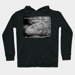 Sleeping Drogon Hoodie